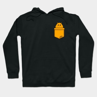 Cute Orange Pocket Cat In Pocket Hoodie